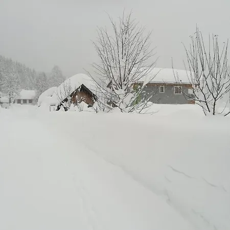 Haus Koelch Διαμέρισμα *