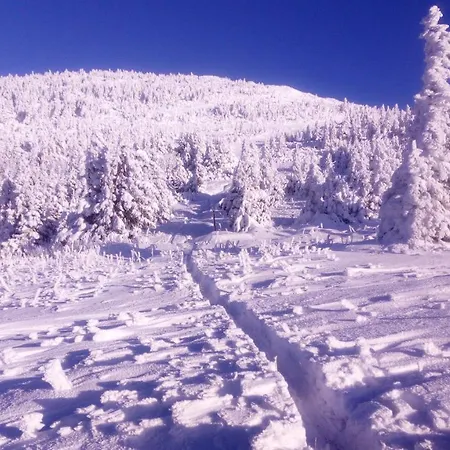 Haus Koelch Lackenhof