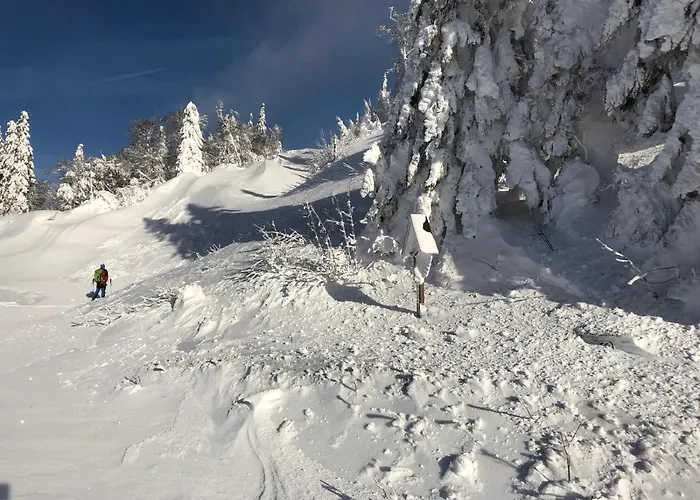 Haus Koelch Apartment