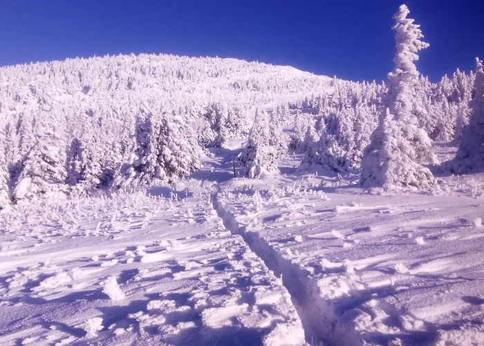 Haus Koelch Lackenhof